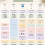 Capture d'écran de Google Calendar montrant un planning hebdomadaire organisé.