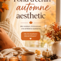 Fond d'écran automnal coloré avec des feuilles et des paysages d'automne